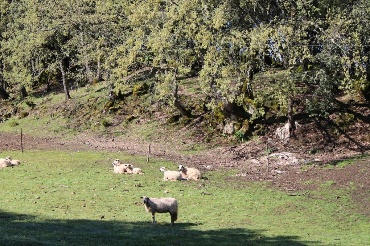 شقة Quinta Da Devesa B1 فينهيس المظهر الخارجي الصورة