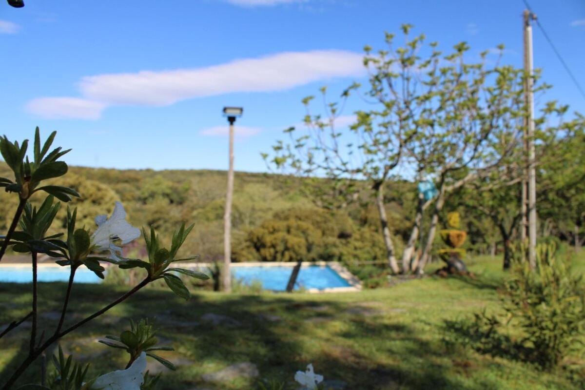 شقة Quinta Da Devesa B1 فينهيس المظهر الخارجي الصورة