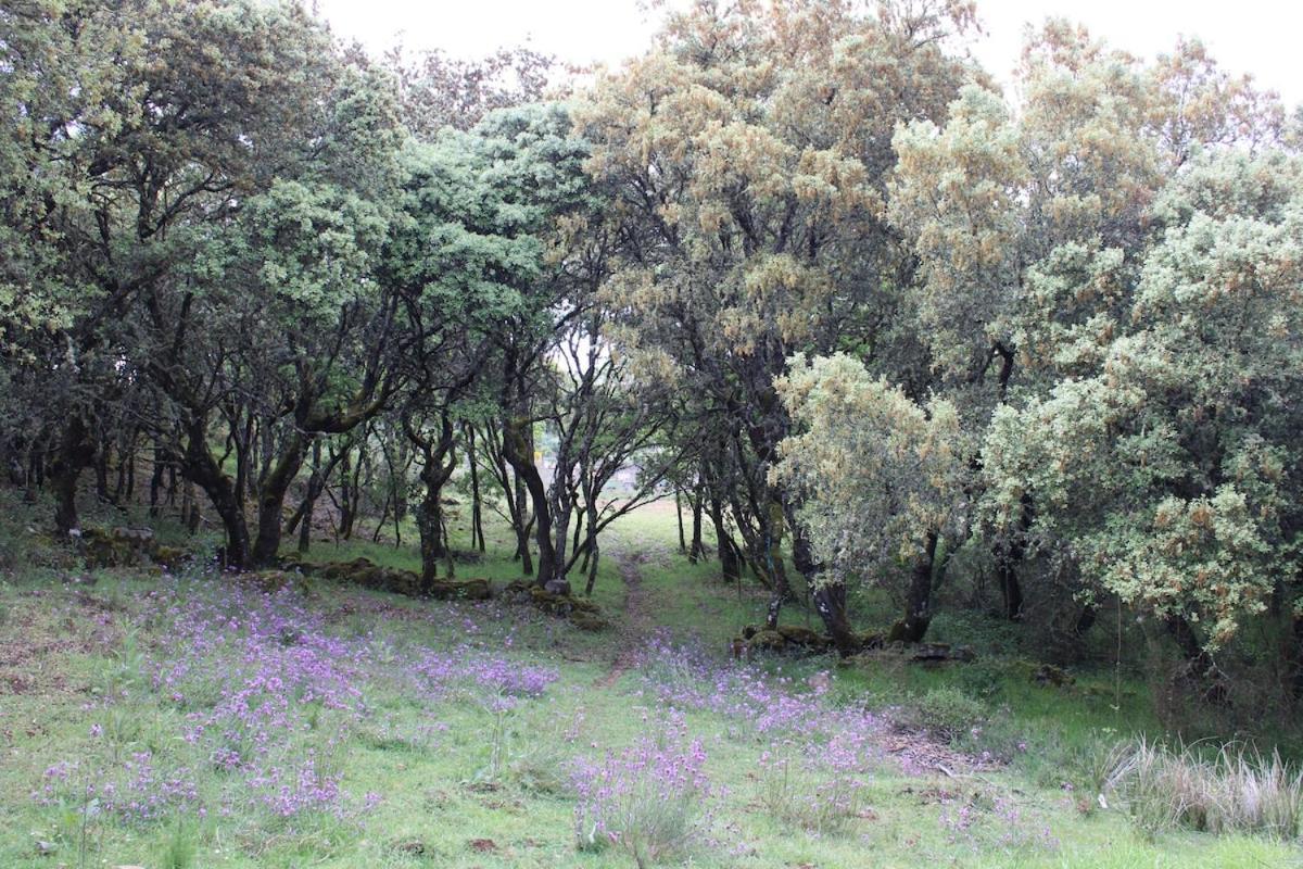 شقة Quinta Da Devesa B1 فينهيس المظهر الخارجي الصورة